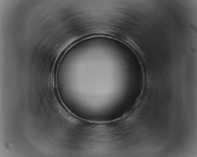 X0000102031028200807181345