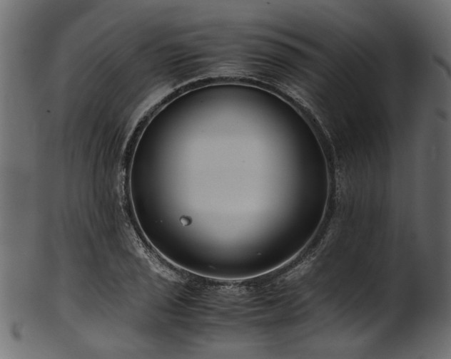 X0000102031029200807181345