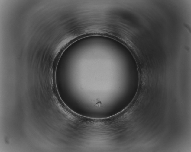 X0000102031030200807181345