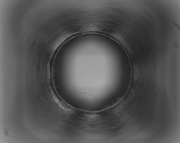 X0000102031031200807181345