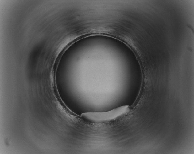 X0000102031032200807181345