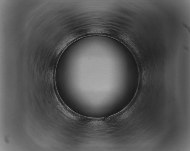 X0000102031033200807181345