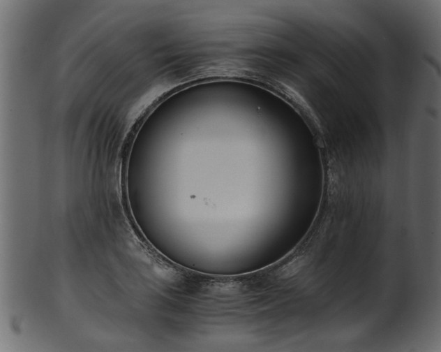 X0000102031035200807181345