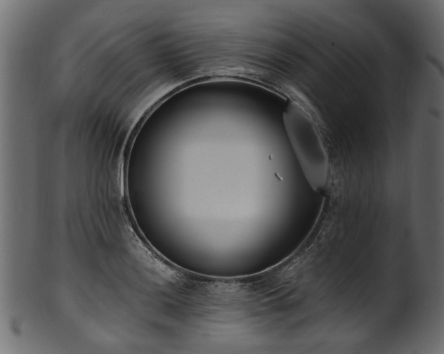 X0000102031036200807181345