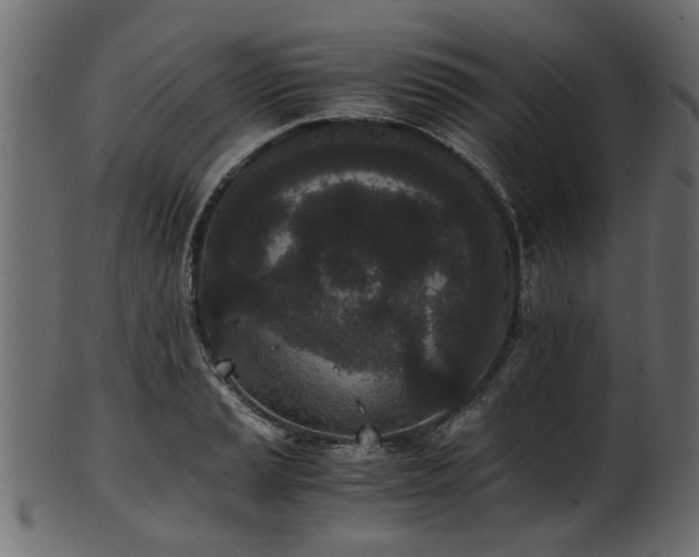 X0000102031037200807181345