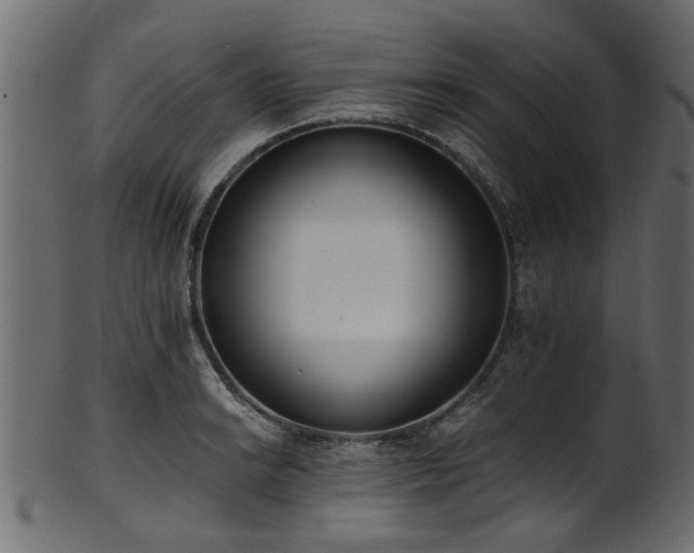 X0000102031038200807181345