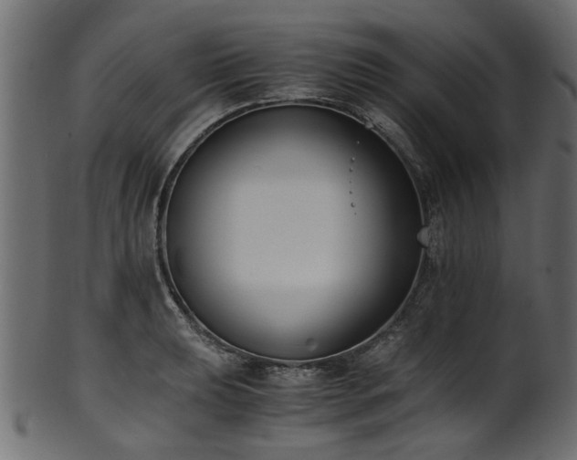 X0000102031039200807181345