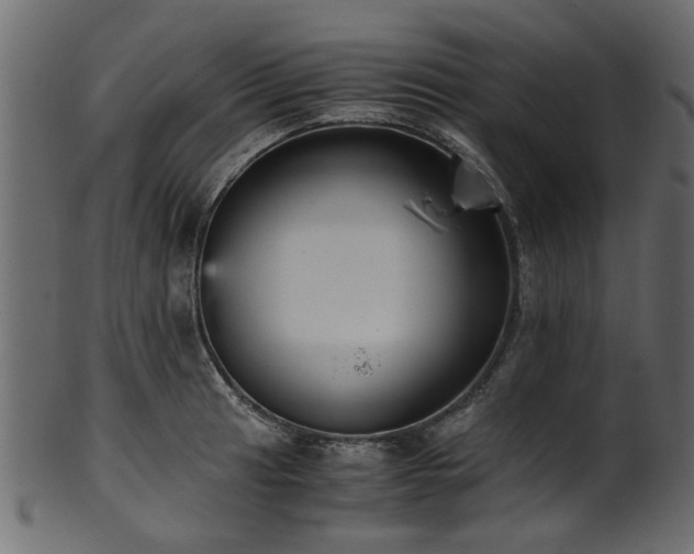 X0000102031041200807181345