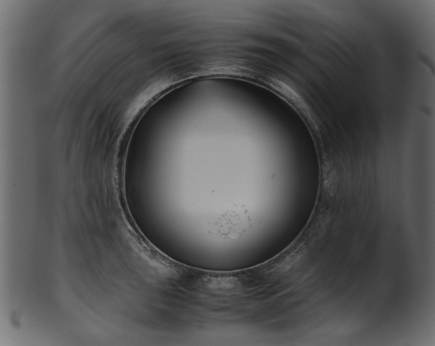 X0000102031043200807181345