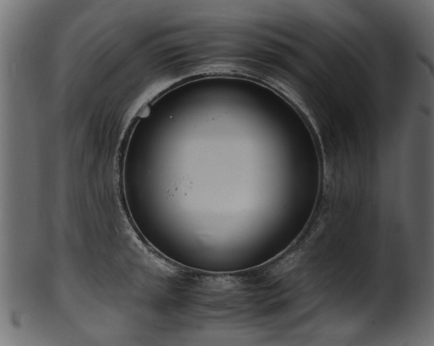 X0000102031045200807181345