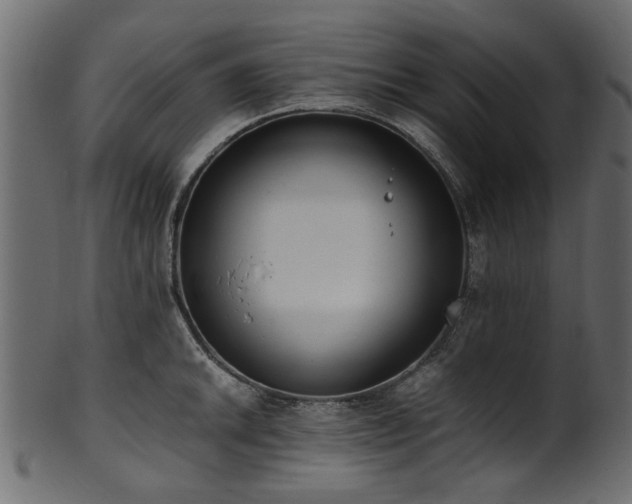 X0000102031046200807181345