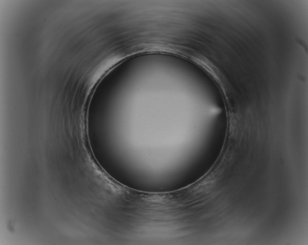 X0000102031048200807181346