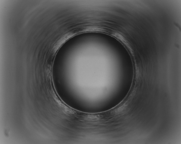 X0000102031049200807181346