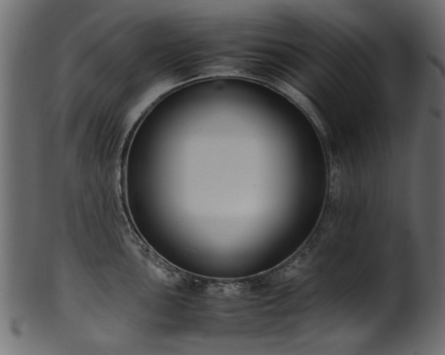 X0000102031051200807181346