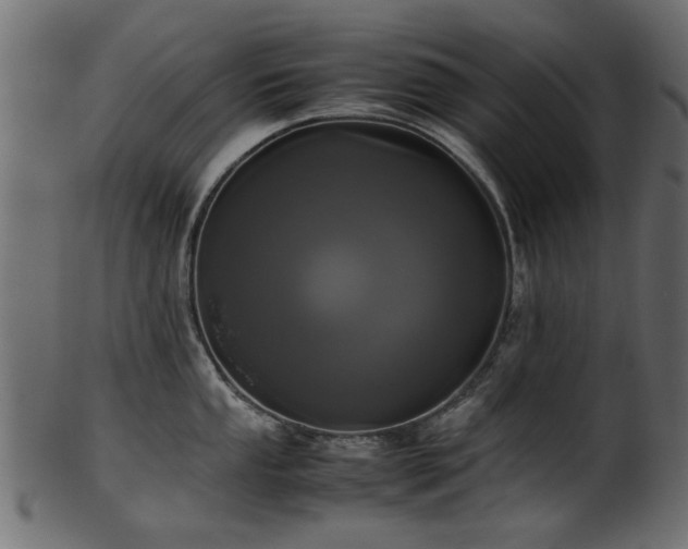 X0000102031053200807181346