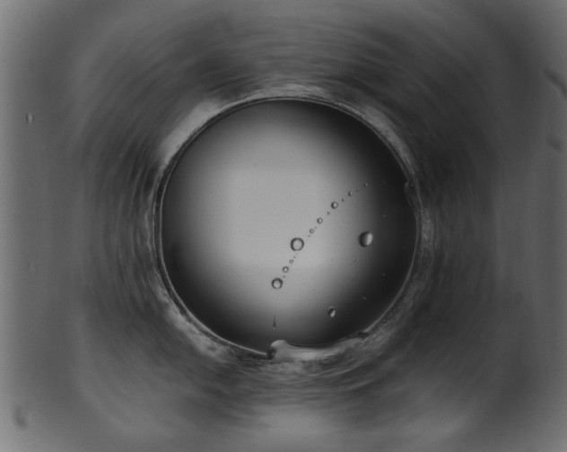 X0000102031054200807181346