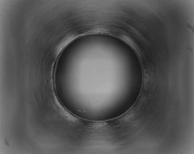 X0000102031055200807181346