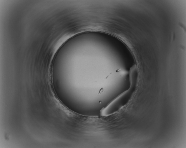 X0000102031056200807181346