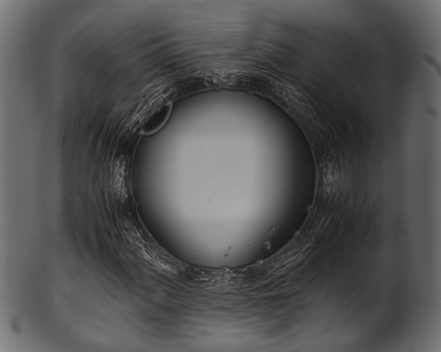 X0000102031060200807181345