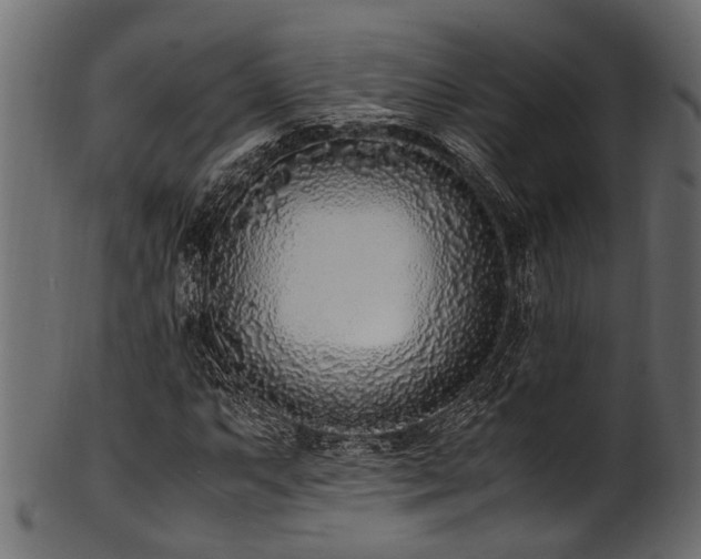 X0000102031063200807181345