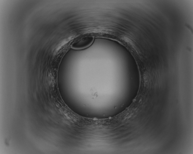 X0000102031064200807181345