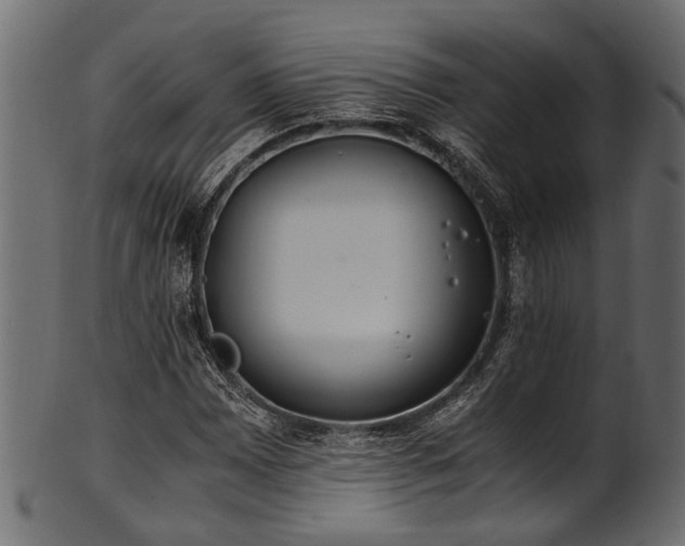 X0000102031065200807181345