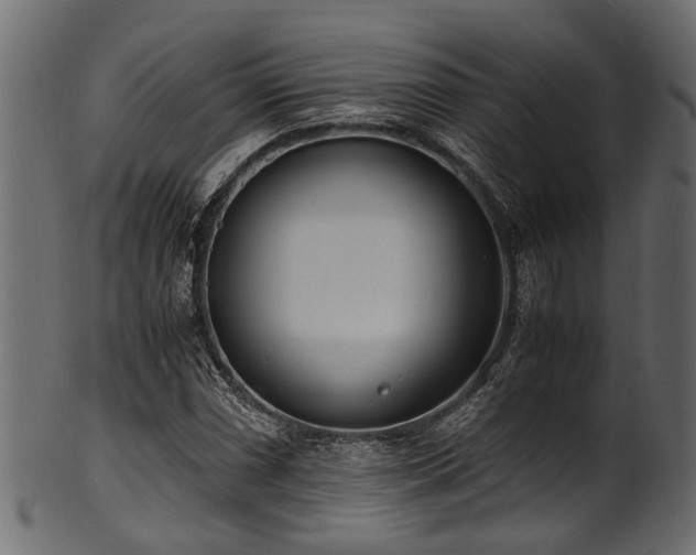 X0000102031066200807181345