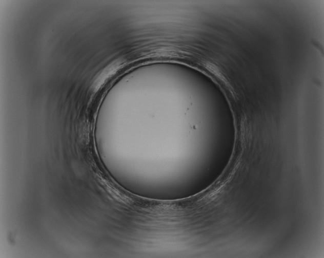 X0000102031067200807181345