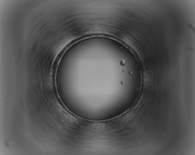 X0000102031068200807181345