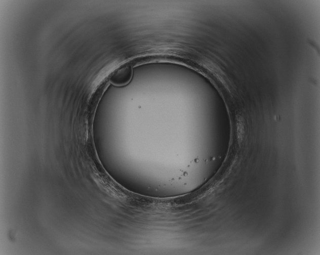 X0000102031069200807181345