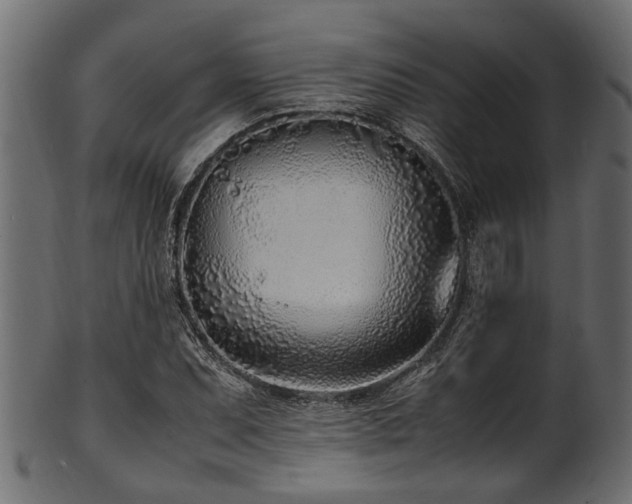 X0000102031071200807181345