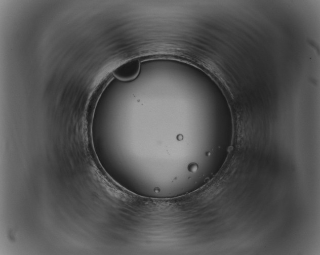 X0000102031072200807181345