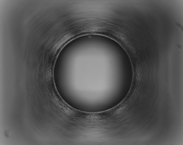 X0000102031073200807181345