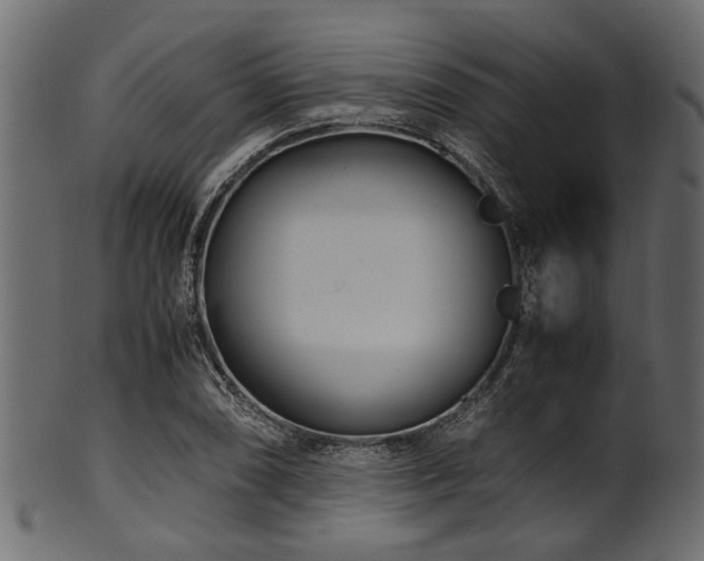 X0000102031074200807181345