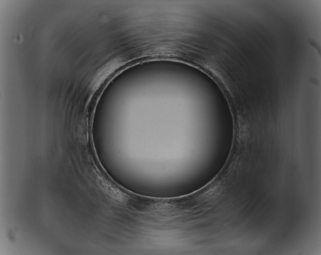 X0000102031075200807181345