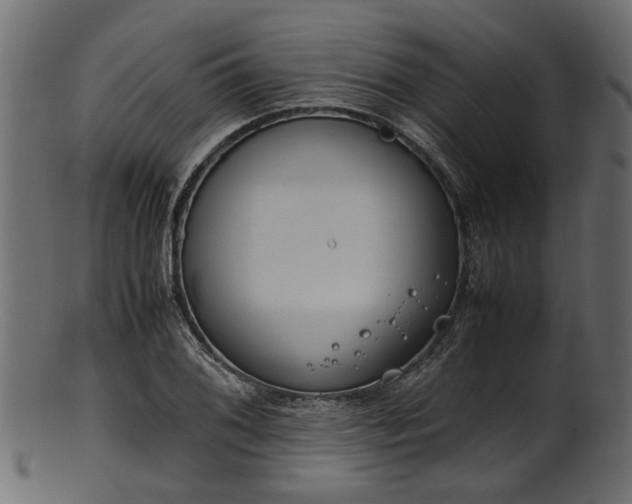 X0000102031076200807181345