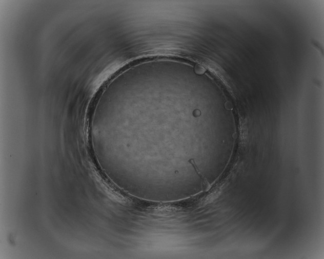 X0000102031077200807181344