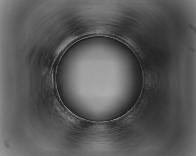 X0000102031078200807181344