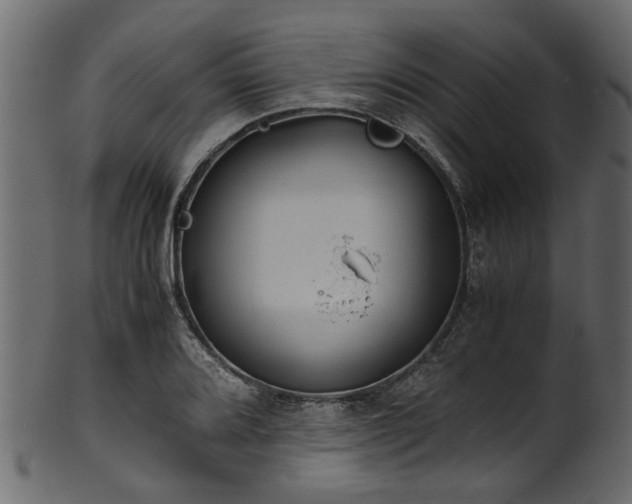 X0000102031080200807181344