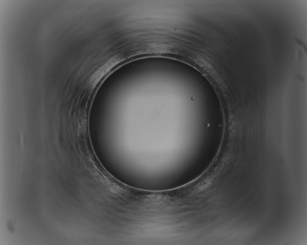 X0000102031081200807181344