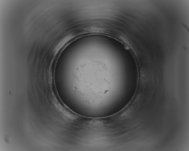 X0000102031082200807181344