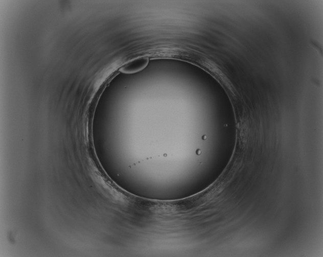 X0000102031083200807181344