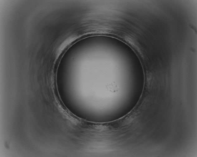 X0000102031085200807181344