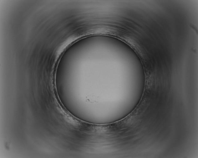 X0000102031086200807181344