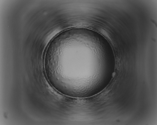 X0000102031087200807181344