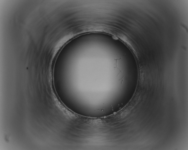 X0000102031088200807181344