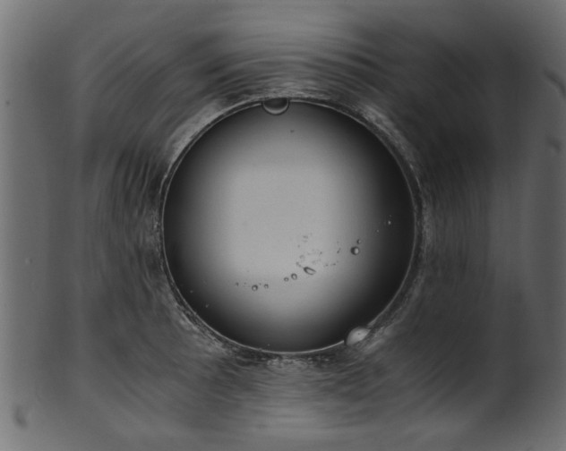 X0000102031089200807181344