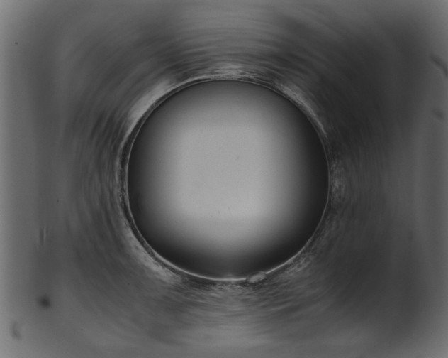 X0000102031091200807181344