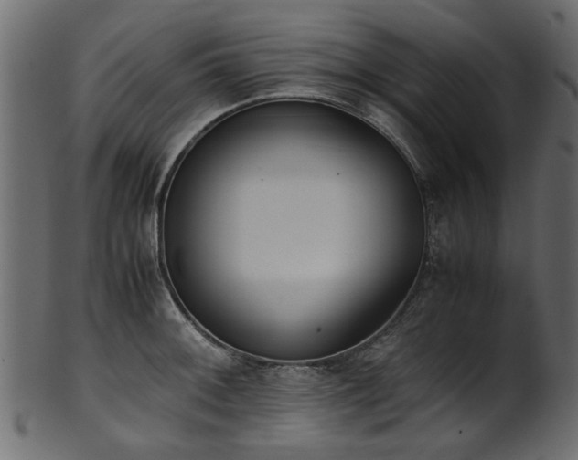 X0000102031092200807181344