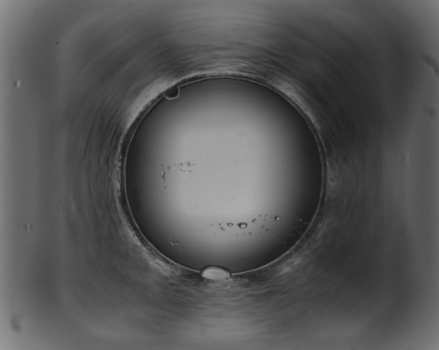 X0000102031093200807181344